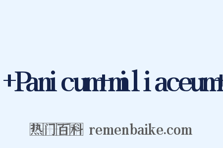  Panicum miliaceum 是什么意思的图片